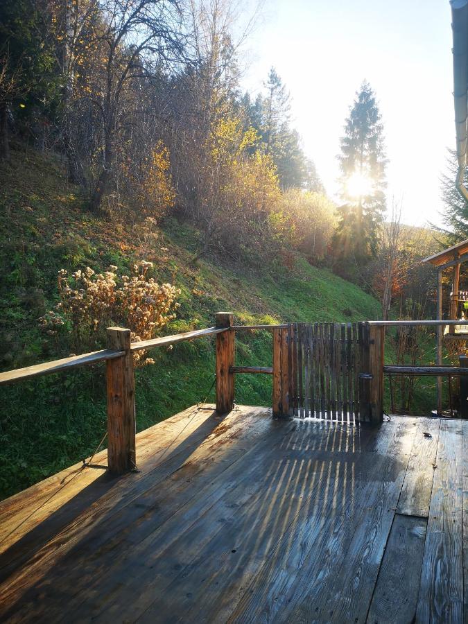 Apartment U Janka