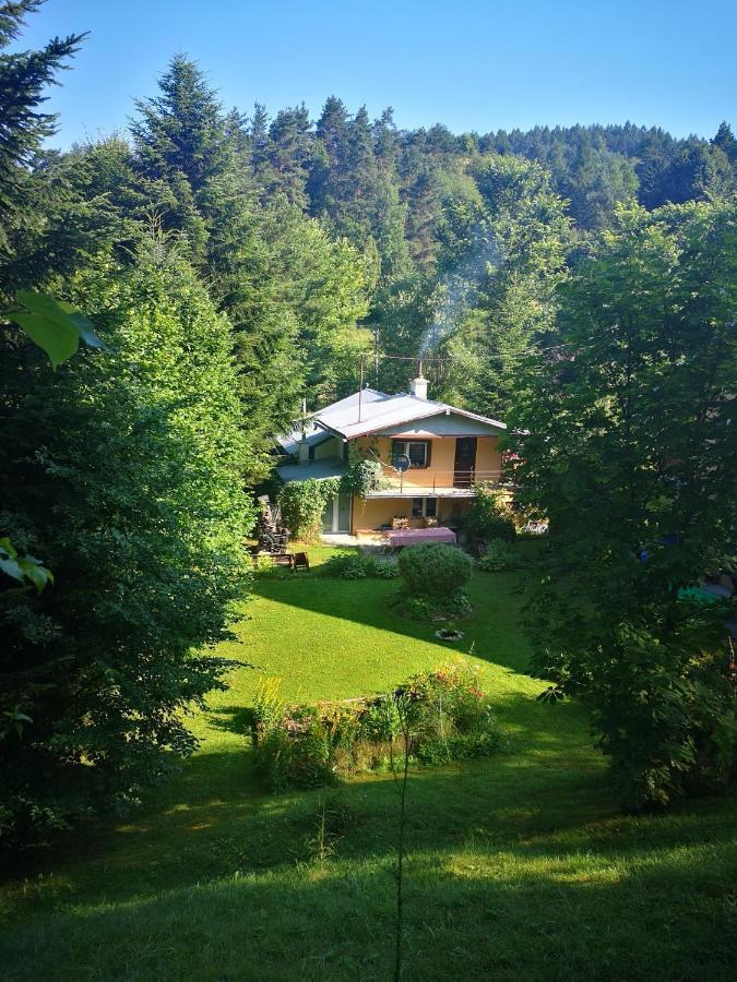 Apartment U Janka